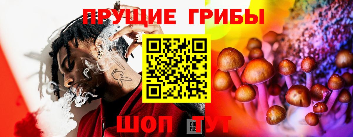 Галлюциногенные грибы MAGIC MUSHROOMS  Вход с VPN  Полысаево  Псилоцибиновые грибы мицелий 